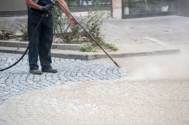 Best Winterizing Services  in Stevensville, MI