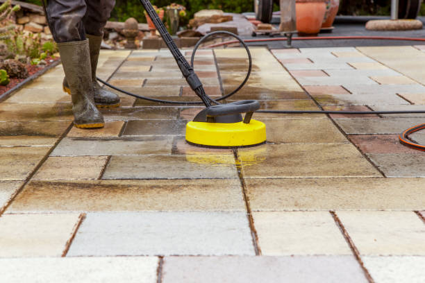 Best Gutter Cleaning  in Stevensville, MI