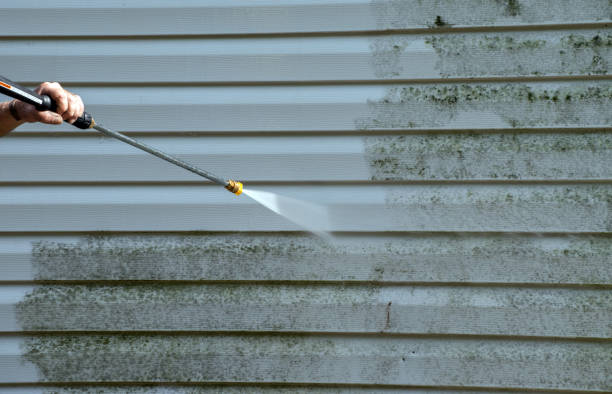 Best Sign and Awning Cleaning  in Stevensville, MI
