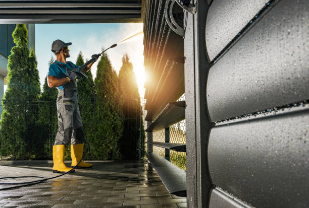 Best Driveway Pressure Washing  in Stevensville, MI