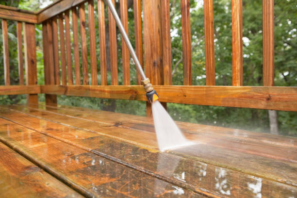 Best Animal Enclosure Cleaning  in Stevensville, MI